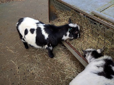 Ambika Paul Children’s Zoo